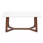 Table basse en bois Olivant, 44x22x20, Blanc et Noyer